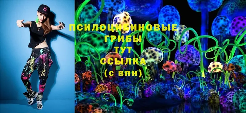 где купить наркотик  Мензелинск  Галлюциногенные грибы Psilocybe 